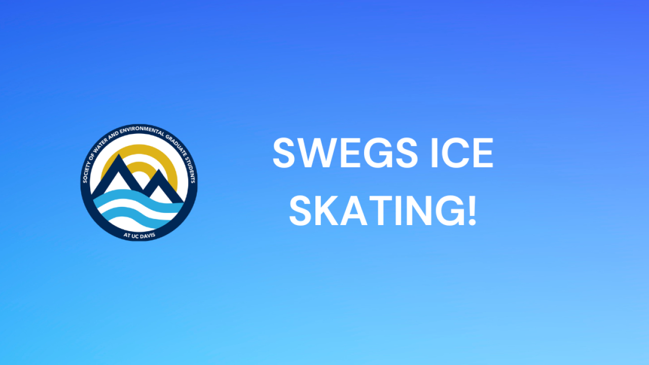 Ice skating banner